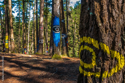 Fotografie Pintura de ojos en Bosque de Oma, País Vasco