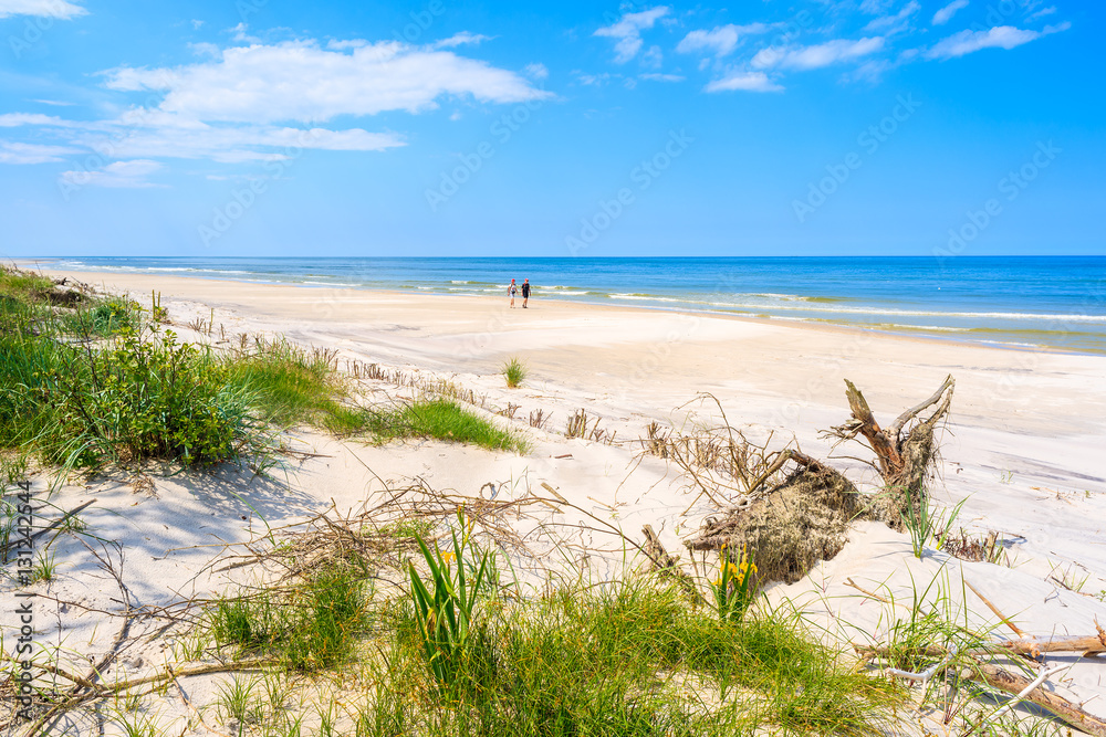 View of green coastal area in Lubiatowo, Baltic Sea, Poland View of green coastal area in Lubiatowo, Baltic Sea, Poland