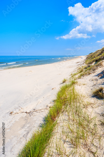 Green grass on sand dune on Lubiatowo beach  Baltic Sea  Poland