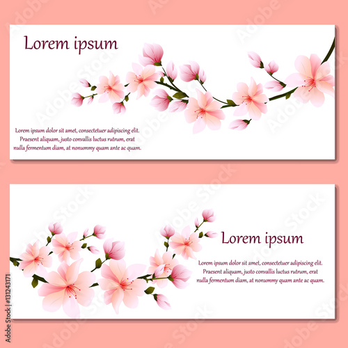 set of cards or invitations with gentle pink spring flowers Sakura