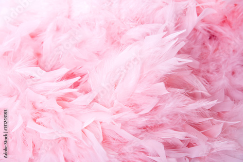 Pink soft feathers background