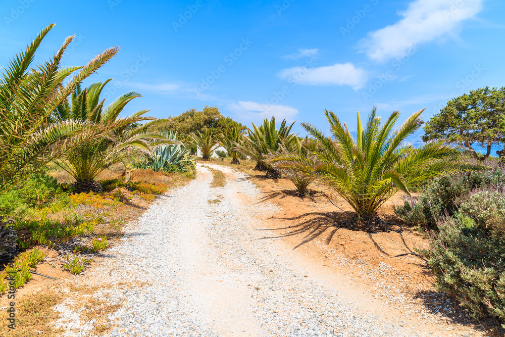 Coastal road along sea in Ampelas village on Paros island, Greece Coastal road along sea in Ampelas village on Paros island, Greece