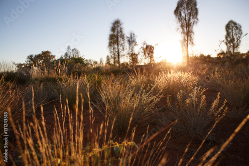  Kata Tjuta-Australien-Landschaft-Sonnenaufgang photo