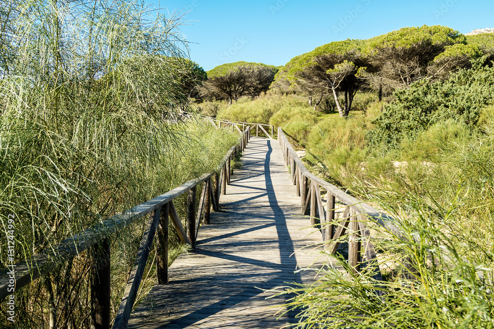Wooden walkway in Bolonia beach. Tarifa, Andalusia