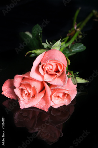 Roses on a black background with reflection