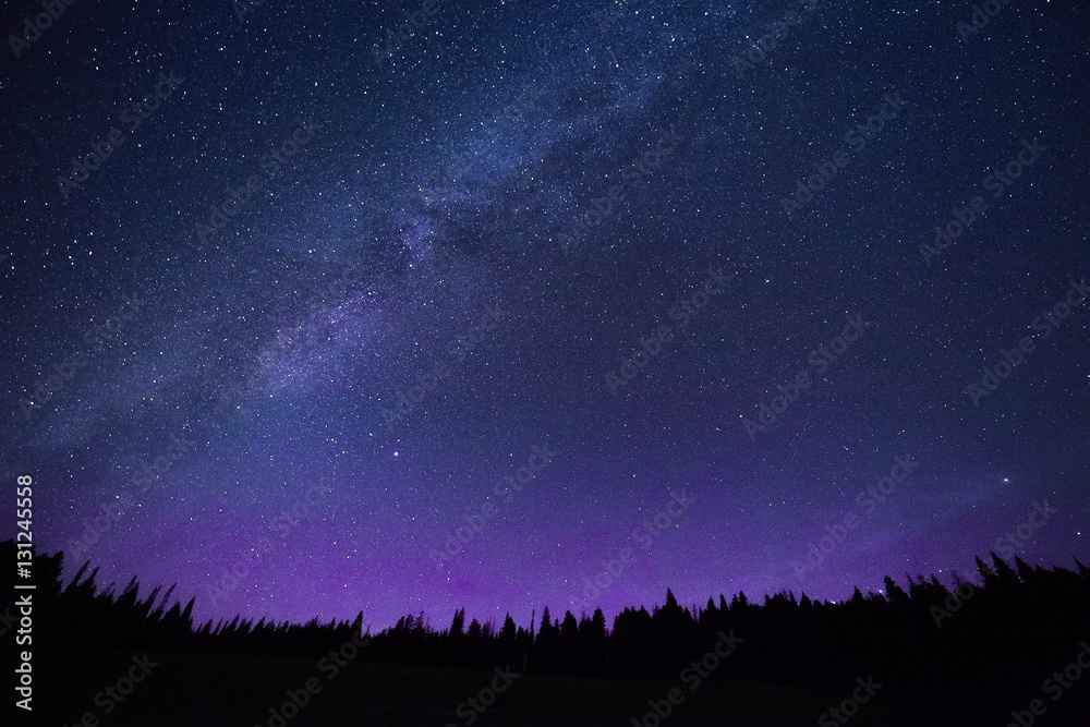 Blue dark night sky with stars above of trees.