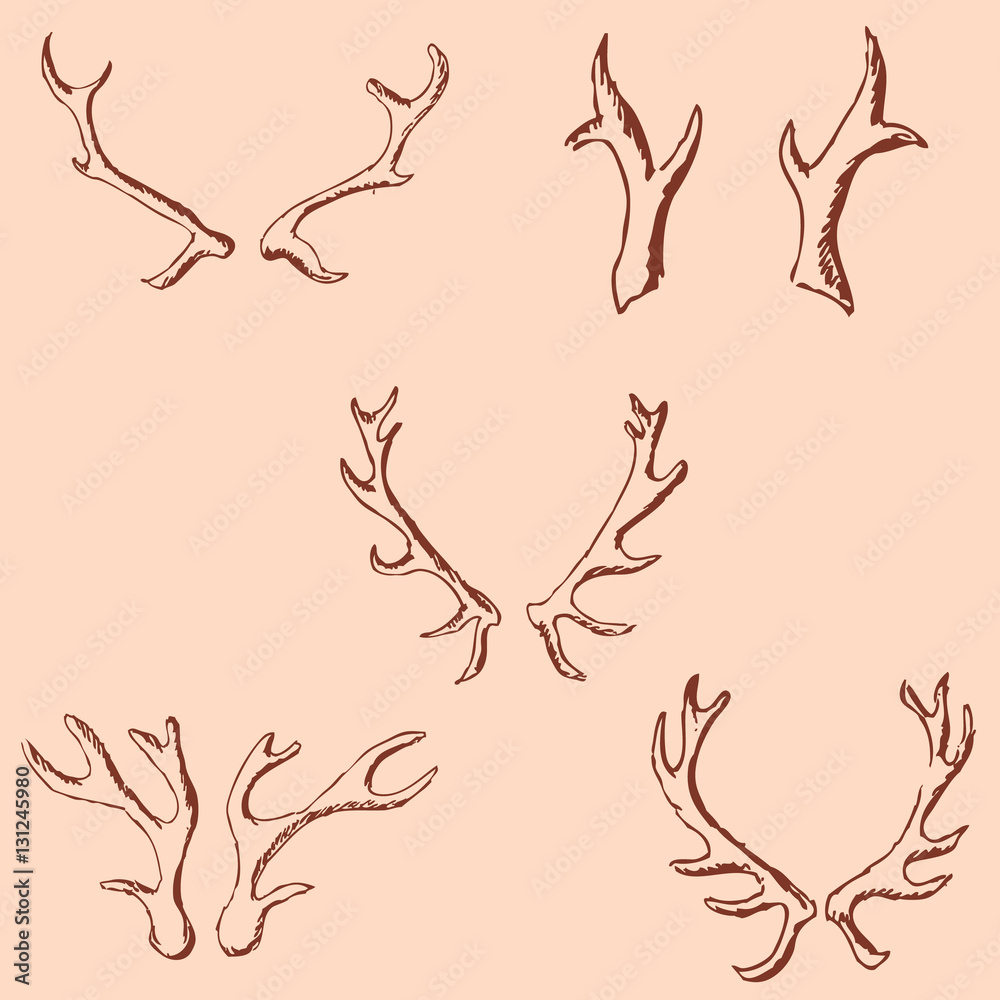 Horn sketch of a deer. Pencil drawing by hand. Vintage colors. Vector