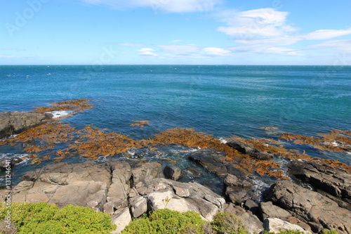 New Zealand - Stewart Island