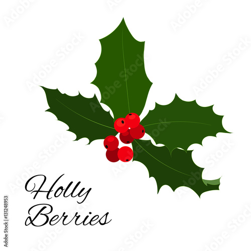 Christmas holly berries icon. Vector illustration