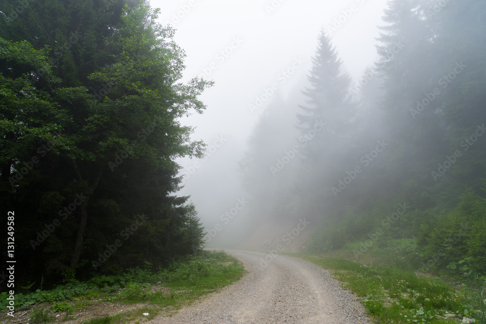 Empty asphalt road in the misty forest. Giresun Highland's - Turkey Empty asphalt road in the misty forest. Giresun Highland's - Turkey