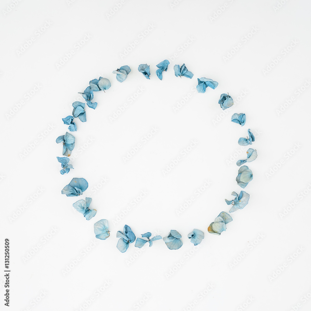 Frame of Hydrangea flowers. Flat lay, top view, isolated on white background