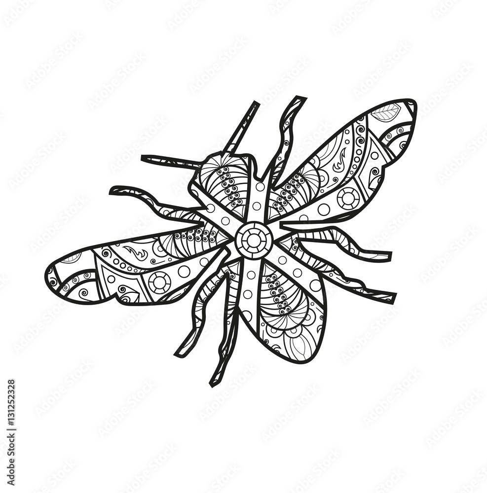 Vector illustration of a black and white mandala fly for coloring book, mosca mandala in bianco e nero da colorare vettoriale