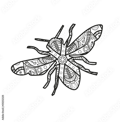 Vector illustration of a black and white mandala fly for coloring book, mosca mandala in bianco e nero da colorare vettoriale © rosangelaincusci