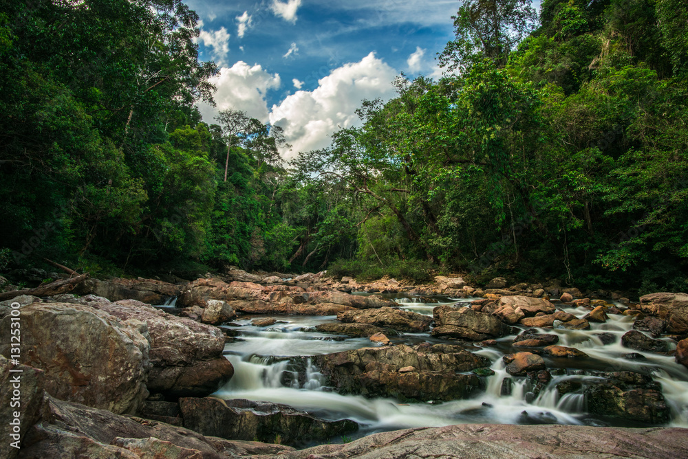 Εκτύπωση καμβά Unaffected river in the jungle