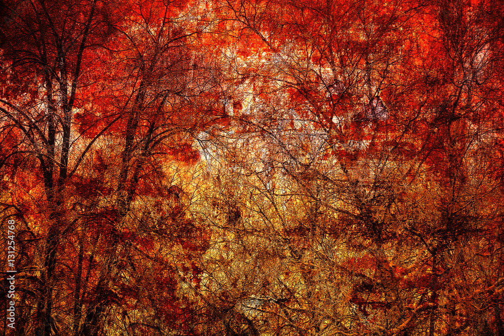 Abstract trees on a bright red background. Art background, double exposure