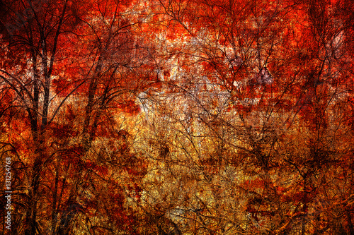 Abstract trees on a bright red background. Art background, double exposure
