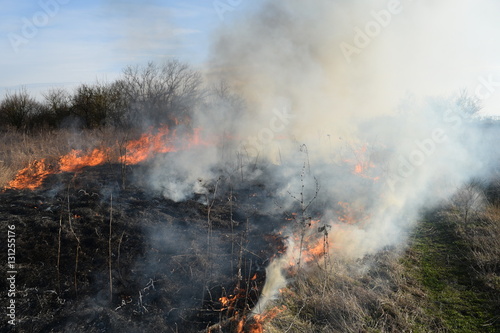 Burning dry grass and reeds. Cleaning the fields and ditches of the thickets of dry grass