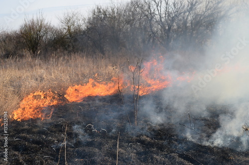 Burning dry grass and reeds. Cleaning the fields and ditches of the thickets of dry grass © eleonimages