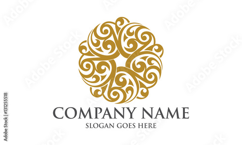 Elegant Abstract Circular Logo Image Vector