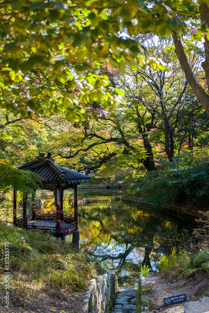 pavilion and trees reflection in changdeokgung palace