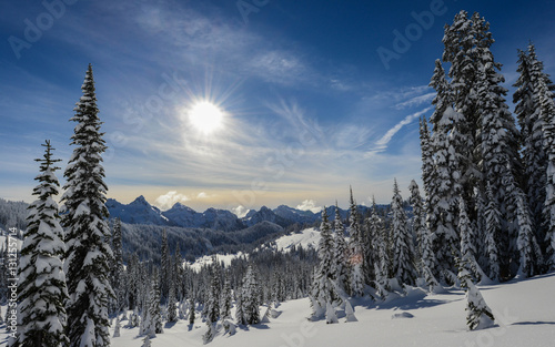 Pacific Northwest Mountain Landscape in Winer