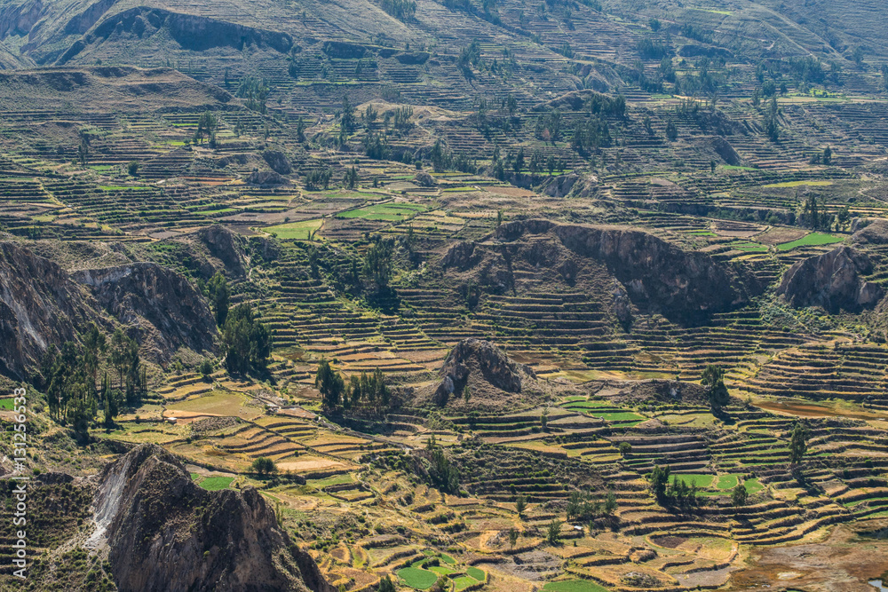 Ancient Incan Terraces Agriculture Farms