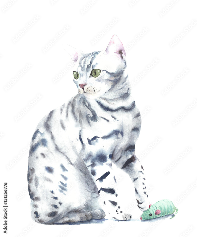 Obraz Kot figlarka bawić się z zabawkarską akwarela obrazu ilustracją odizolowywającą na białym tle