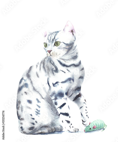 Obraz na płótnie Kot figlarka bawić się z zabawkarską akwarela obrazu ilustracją odizolowywającą na białym tle