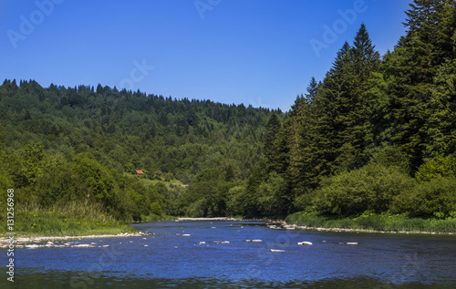 river at the Carpathian forest