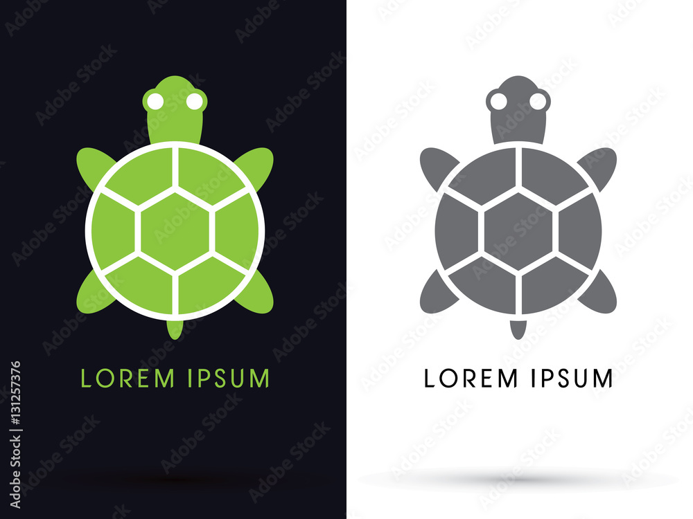 Obraz premium Turtle top view graphic vector