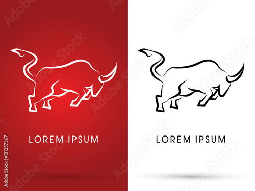 Bull fight icon outline graphic vector.