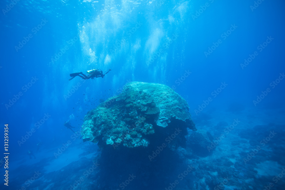 Fototapeta premium green island, Taiwan