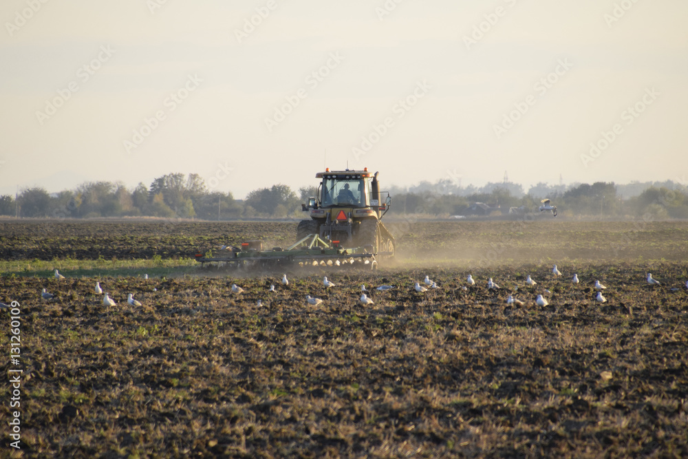 Fototapeta premium Tractor plowing plow the field. Tilling the soil in the fall aft