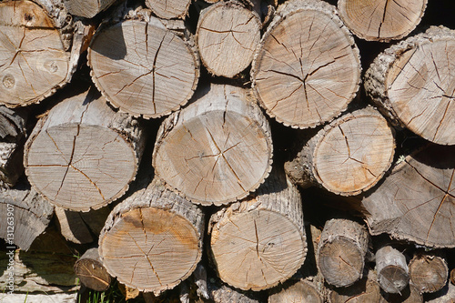 stacking chopped tree log in pile