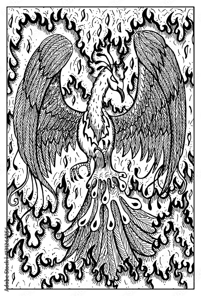 Fototapeta premium Phoenix in fire. Engraved fantasy illustration