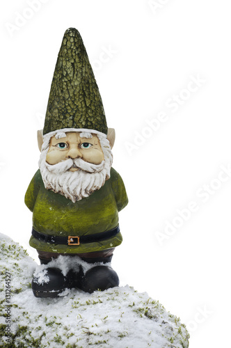 Gnome standing on snow covered mossy branch with isolated background/Gnome in green suit and hat standing on snow covered mossy branch with isolated background