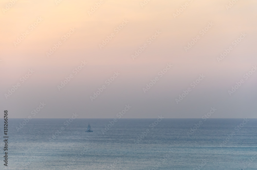 Sailboats on sea navigating under the sunset