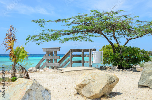 Looking through the mangrove trees in Aruba beach