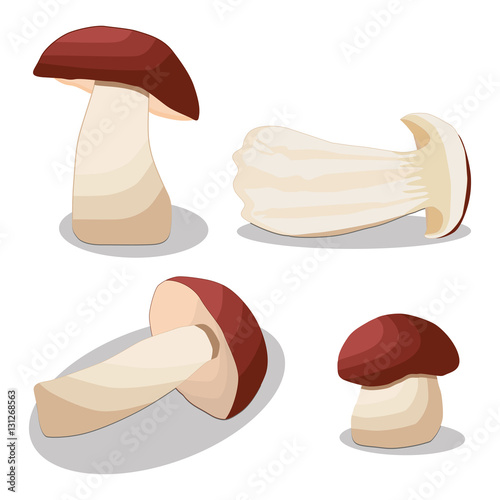 Abstract vector illustration of logo for mushroom porcini