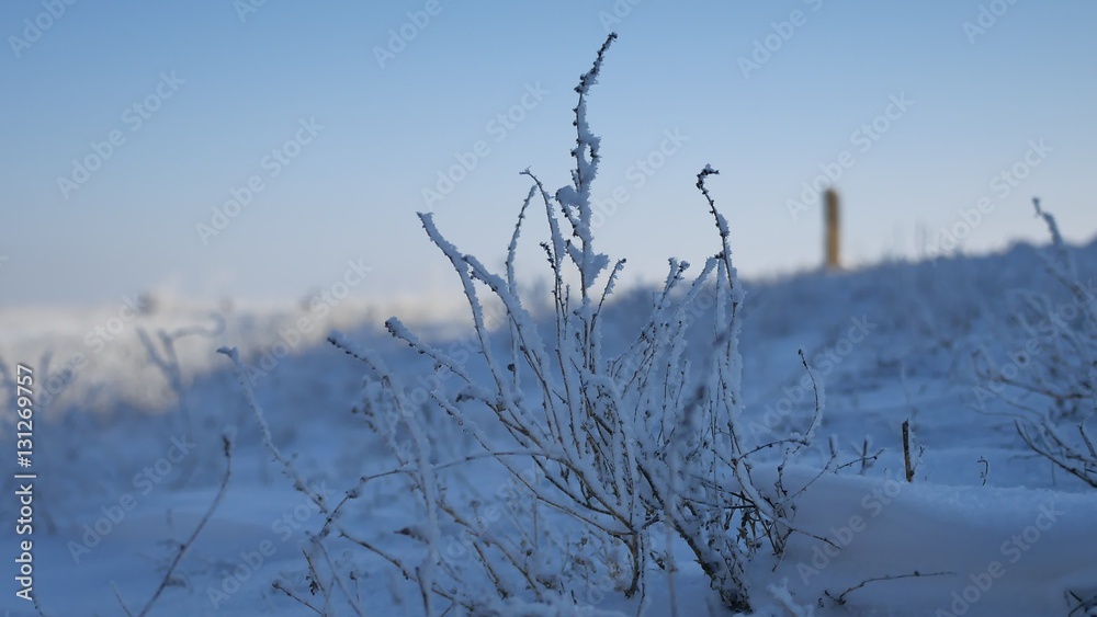 frozen grass next to the highway route travel movement of auto winter