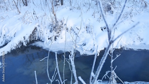 Fototapeta Naklejka Na Ścianę i Meble -  forest stream in winter snow nature grass and tree beautiful landscape
