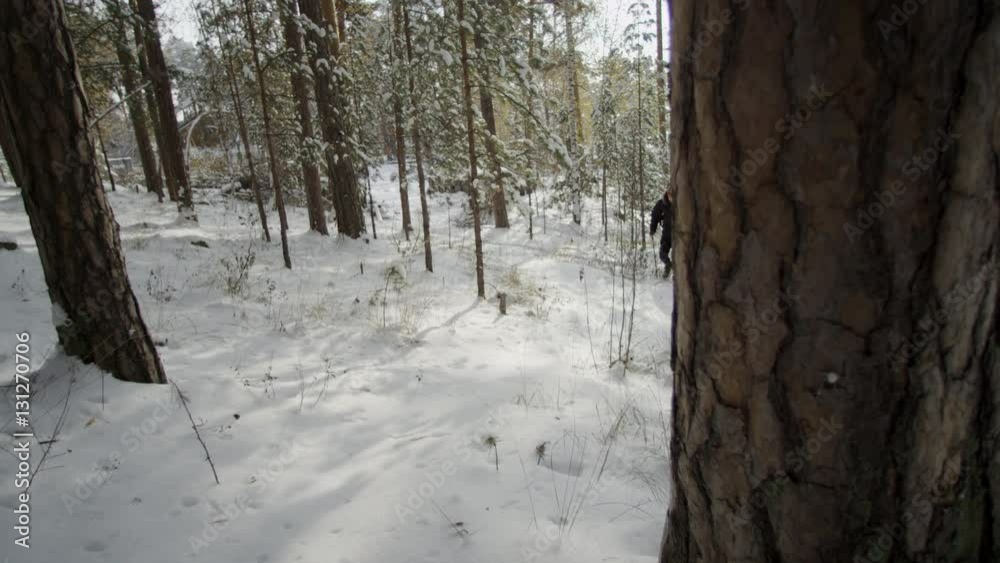 Hiker going in the forest at winter. Hiker going in the forest at winter.