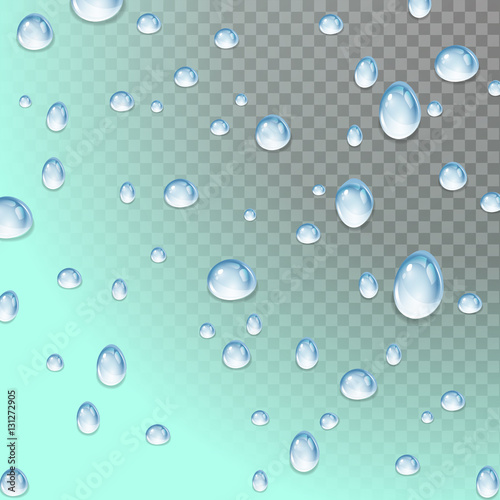 Group realistic water droplets on a transparent background.Vector illustration