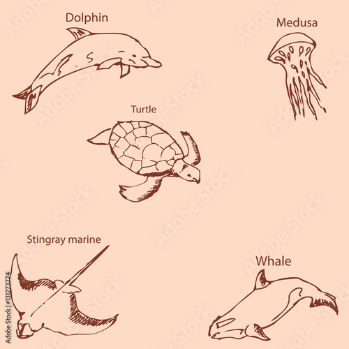 Marine inhabitants with names. Pencil sketch by hand. Vintage colors. Vector