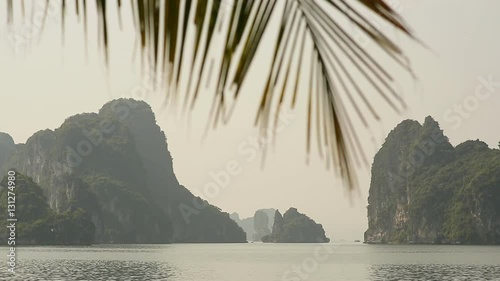 Mountain scenery at Halong Bay, Vietnam. Branches of palm trees. photo