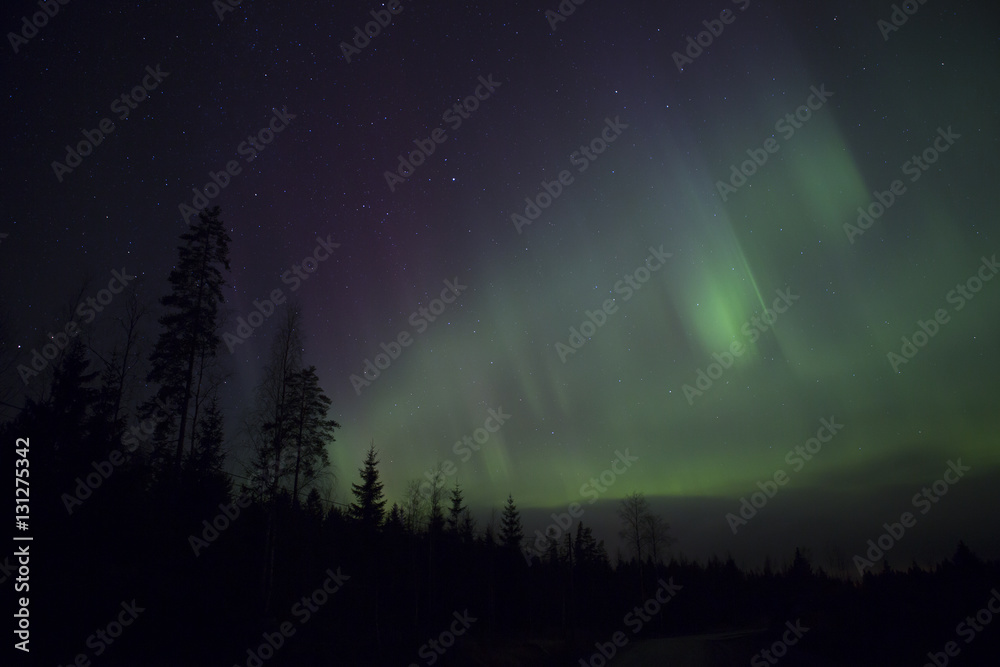 Northern lights illuminating the sky. Magical moment in Finland. Aurora borealis is beautiful phenomenon
