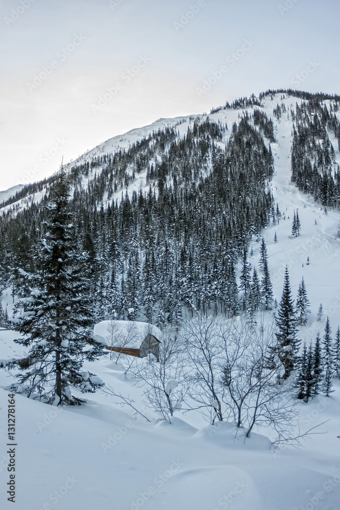 Cabin house chalets in winter forest with snow