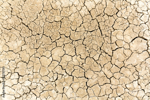 Dried and cracked sandy soil from a drained desert lakebed