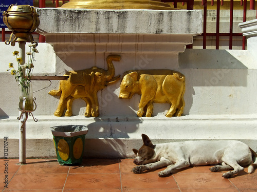 Thailand - Chiang Mai - Wat Muen Ngoen Kong photo