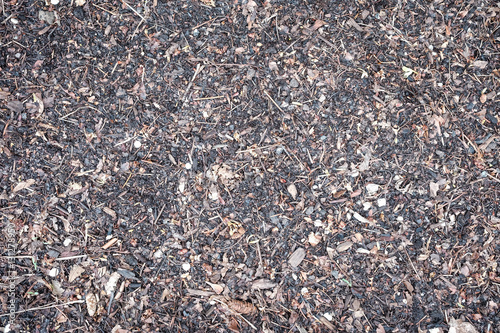 Bark wood chips background